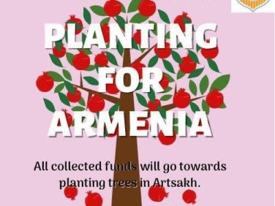 ԱՐՑԱԽԻ ՄԷՋ 50 ՀԱԶԱՐ ԾԱՌ ՏՆԿԵԼՈՒ ԱՐՇԱՒ