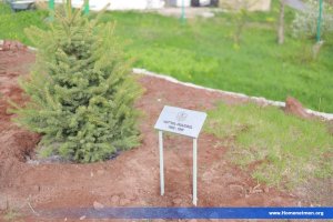«ԽԻԶԱԽՆԵՐԻ ՊՈՒՐԱԿ»Ի ԲԱՑՈՒՄ ՝ ԲԻՒՐԱԿԱՆԻ ԲԱՆԱԿԱՎԱՅՐՈՒՄ — 29